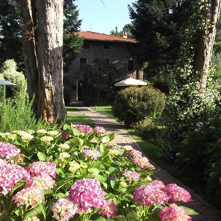 Hostal L'Arcadia Pietrasanta Exterior foto