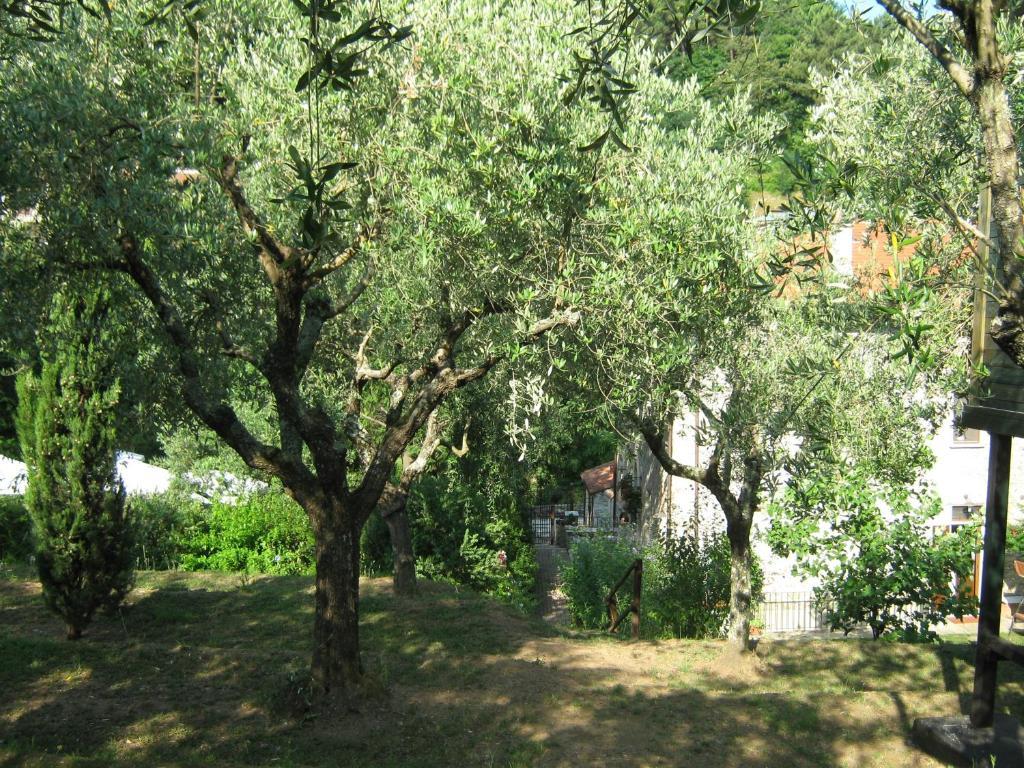 Hostal L'Arcadia Pietrasanta Exterior foto