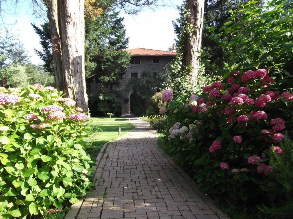 Hostal L'Arcadia Pietrasanta Exterior foto